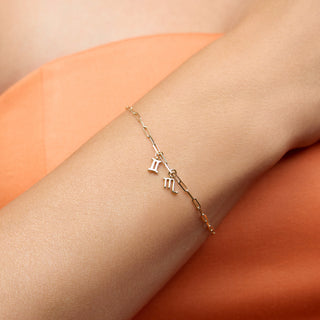 Burç Charm | 14 Ayar Altın