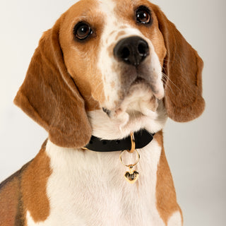 TailMate Künye | 14 Ayar Altın