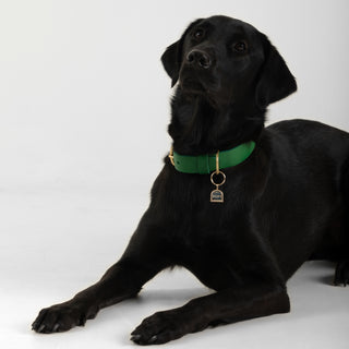 Coco Künye | 14 Ayar Altın