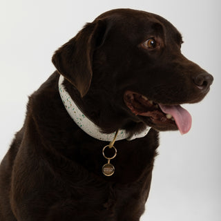 Pera Künye | 14 Ayar Altın