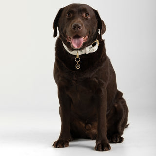 Pera Künye | 14 Ayar Altın