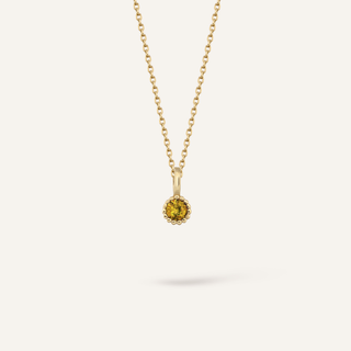 Kasım Doğum Taşı Kolye | 14 Ayar Altın