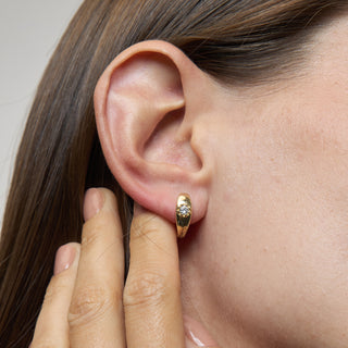 Shining Stone Küpe | 14 Ayar Altın