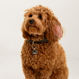 Filbert Künye | 14 Ayar Altın