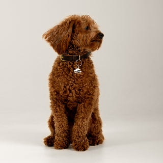 Filbert Künye | 14 Ayar Altın