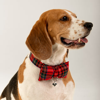 Pixie Künye | 14 Ayar Altın