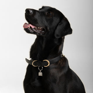 Best Künye | 14 Ayar Altın