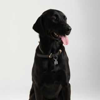 Best Künye | 14 Ayar Altın