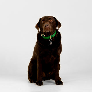 Bambi Künye | 14 Ayar Altın