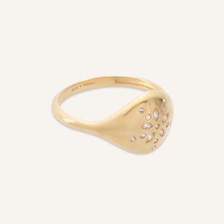 Snowflake Dome Yüzük | 14 Ayar Altın