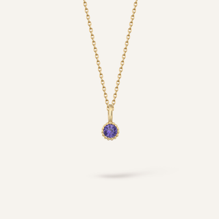 Şubat Doğum Taşı Kolye | 14 Ayar Altın