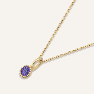 Şubat Doğum Taşı Kolye | 14 Ayar Altın