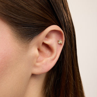 Vita Arı Figürlü Çok Taşlı Kulak Piercing | 14 Ayar Altın