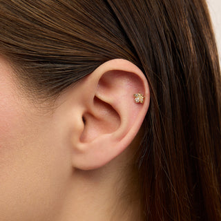 Vita Arı Figürlü Çok Taşlı Kulak Piercing | 14 Ayar Altın