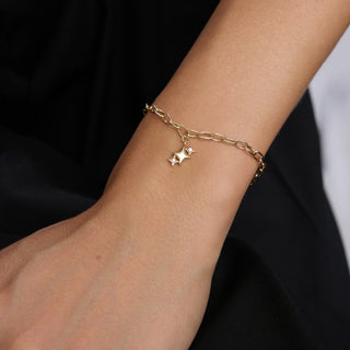 Willow Charm | 14 Ayar Altın