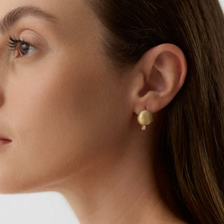 Elaren Küpe | 14 Ayar Altın