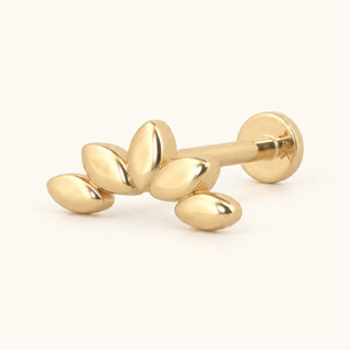 Leaf Climber Yaprak Figürlü Altın Kulak Piercing